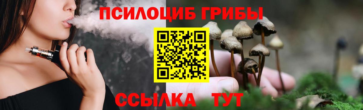 Псилоцибиновые грибы прущие грибы Мичуринск